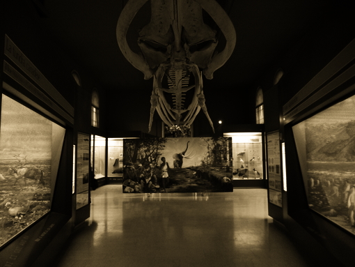 Allestimento Mostra 03-MARCO-COLOMBAIONI 01