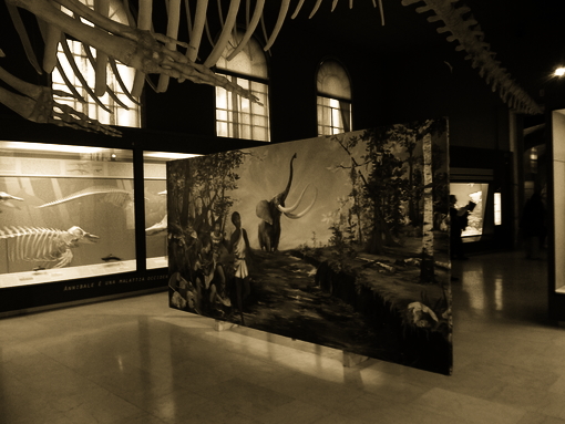 Allestimento Mostra 03-MARCO-COLOMBAIONI 02