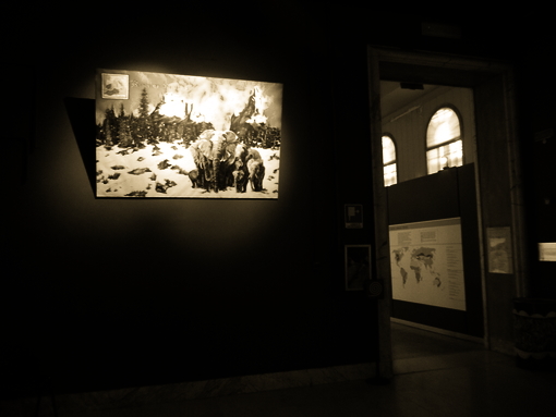 Allestimento Mostra 03-MARCO-COLOMBAIONI 03
