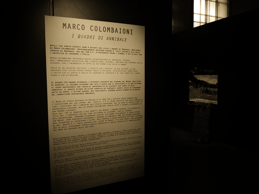 Allestimento Mostra 03-MARCO-COLOMBAIONI 05