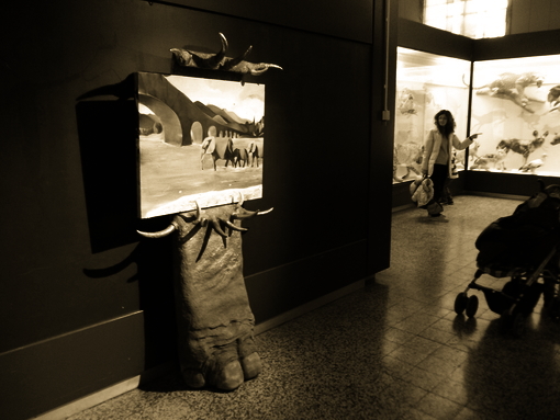 Allestimento Mostra 03-MARCO-COLOMBAIONI 06