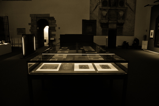 Allestimento Mostra 04-PETERZANO 05