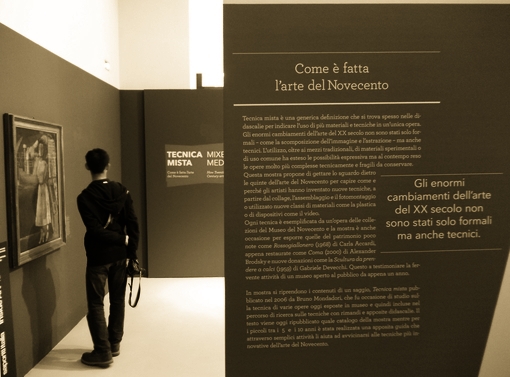 Allestimento Mostra 11-TECNICA-MISTA 04
