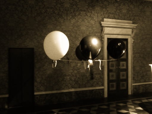Allestimento Mostra 13-ACACIA 03
