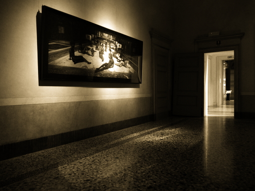 Allestimento Mostra 13-ACACIA 04